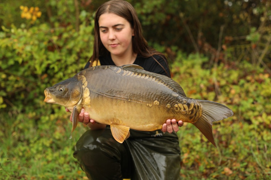 13lb
