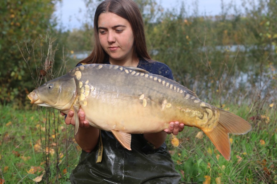 17lb