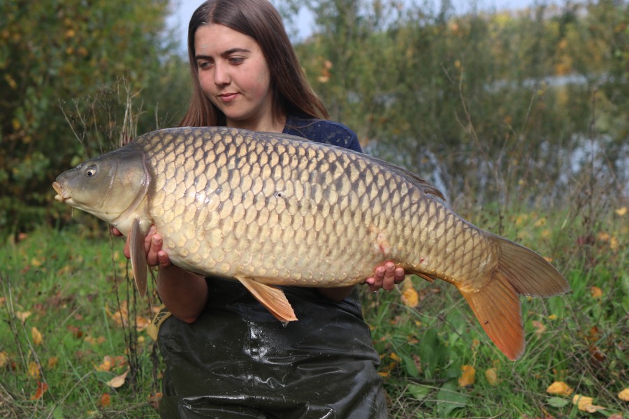 24lb