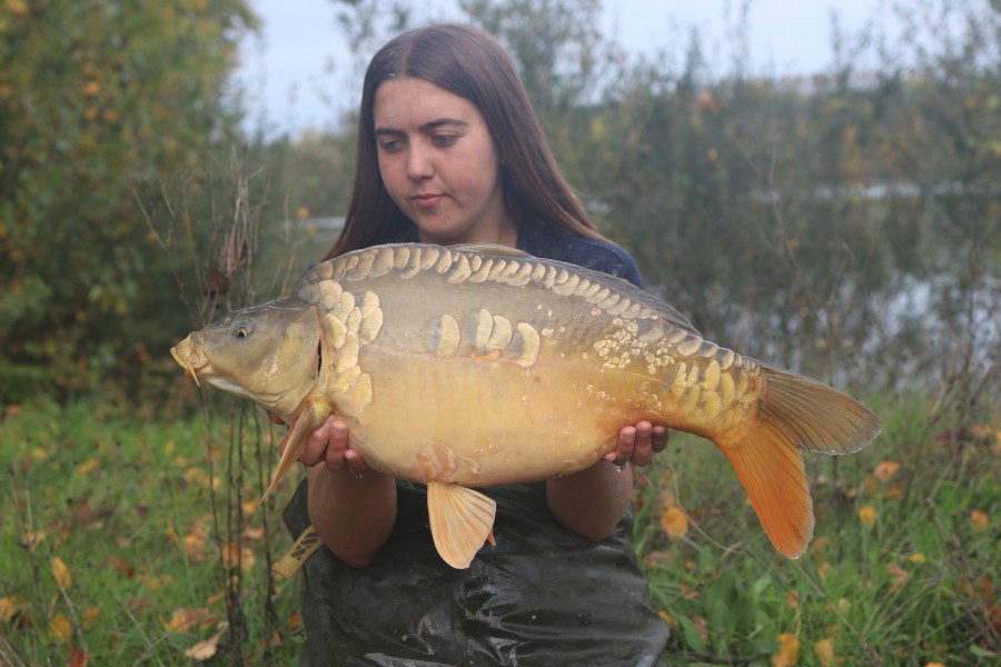 13lb