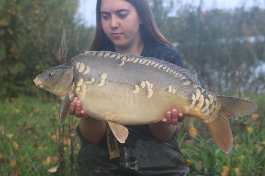 10lb