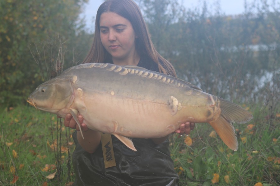 19lb