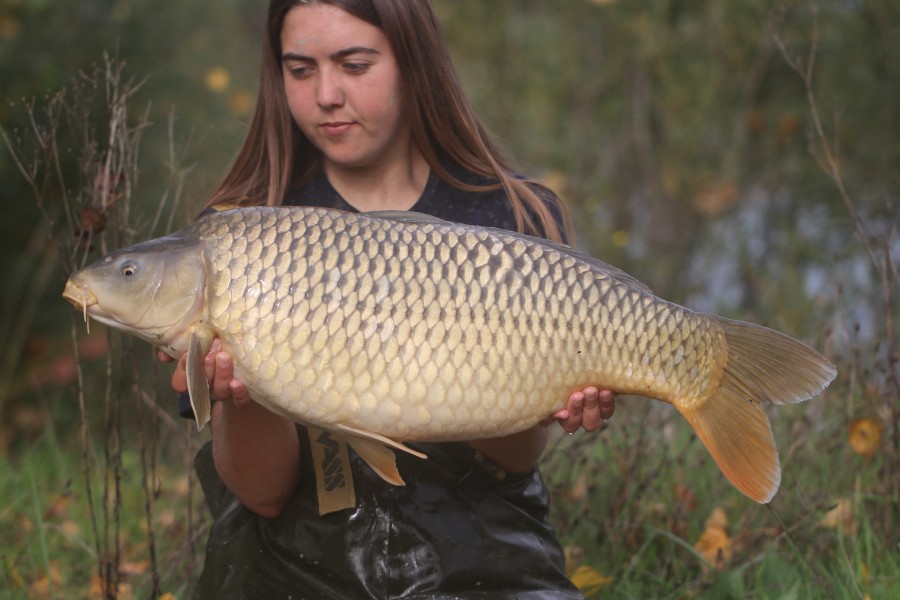 20lb 8oz