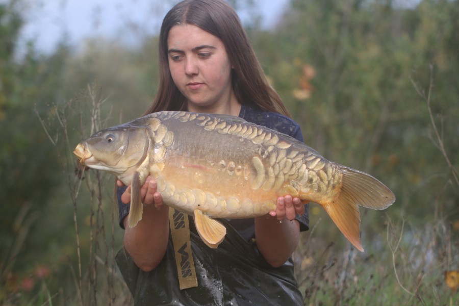 12lb