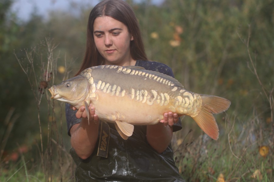 12lb