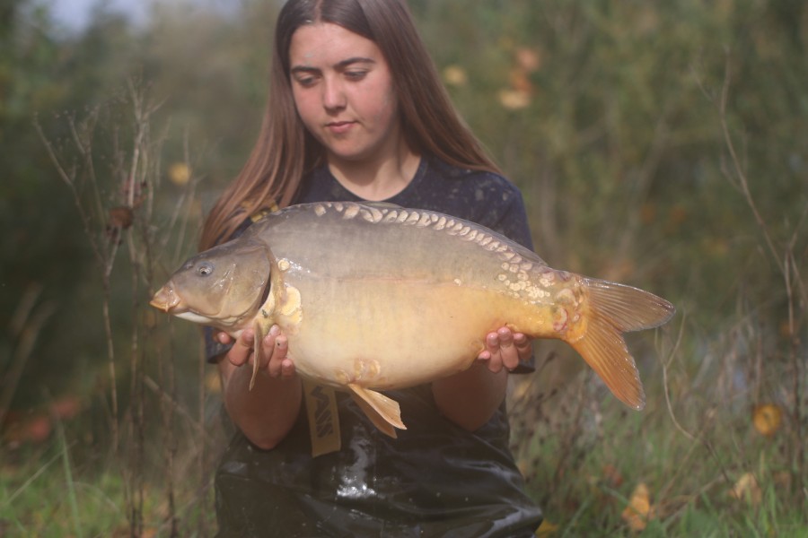 12lb