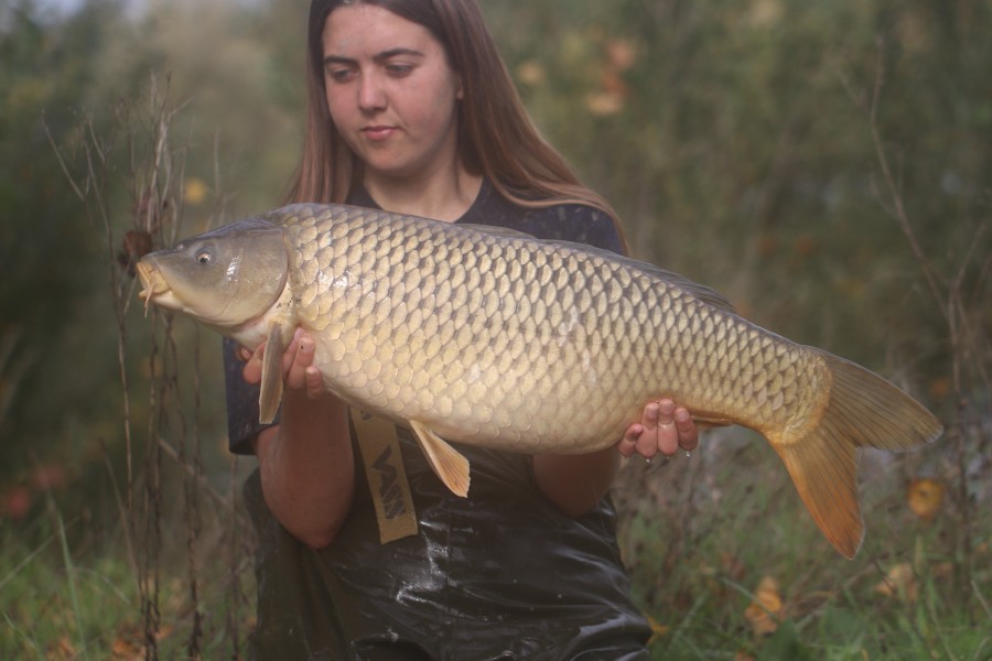 19lb