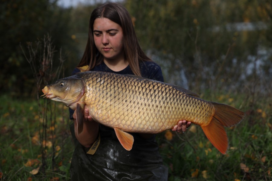 16lb