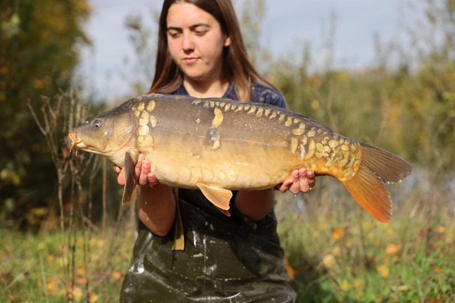 13lb