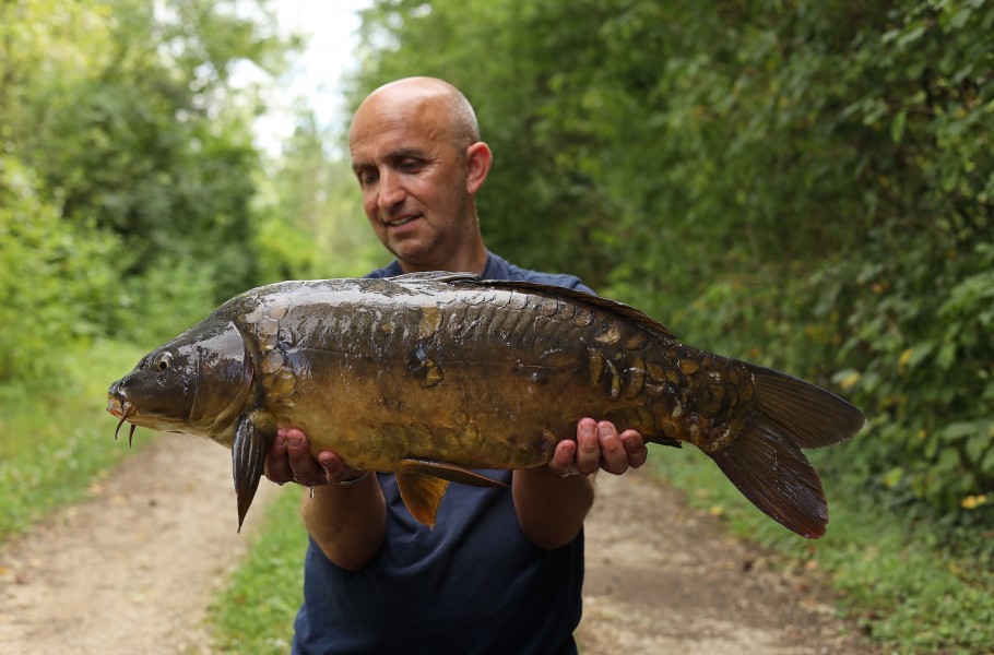 Chris Irving - Treeline - 16lb 11oz - 20/07/2024