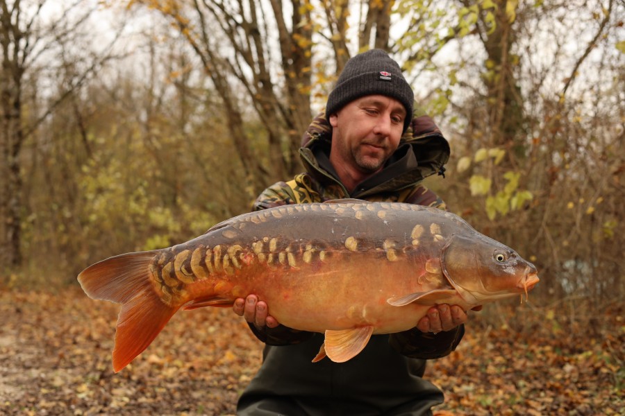 Sean Fehily - 22lb 8oz - Co's Point - 23/11/2024