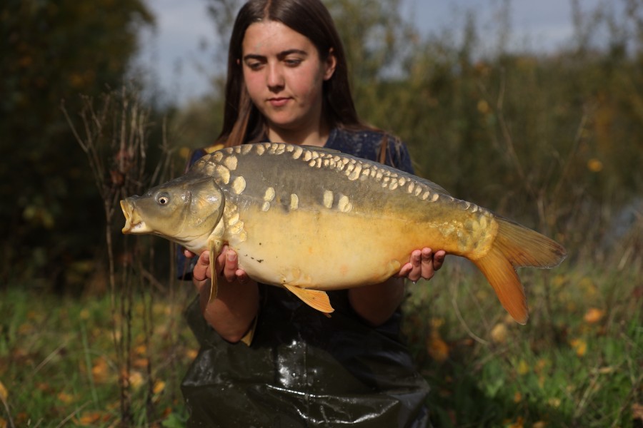 16lb