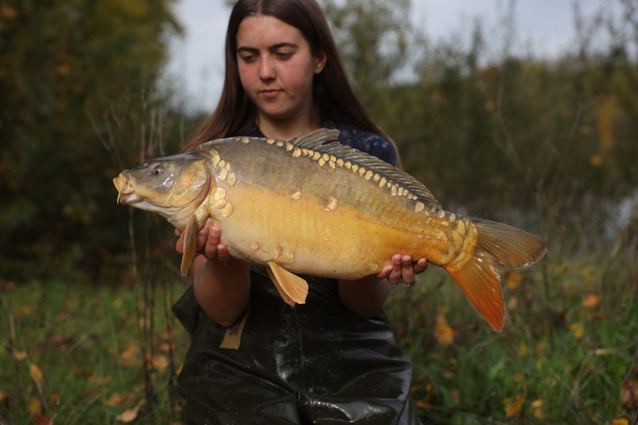 11lb 10oz