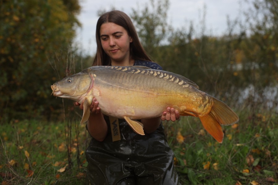 18lb