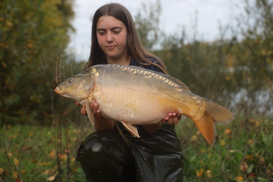 15lb