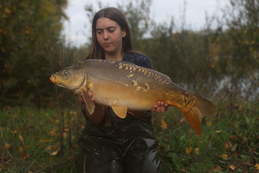 17lb 8oz