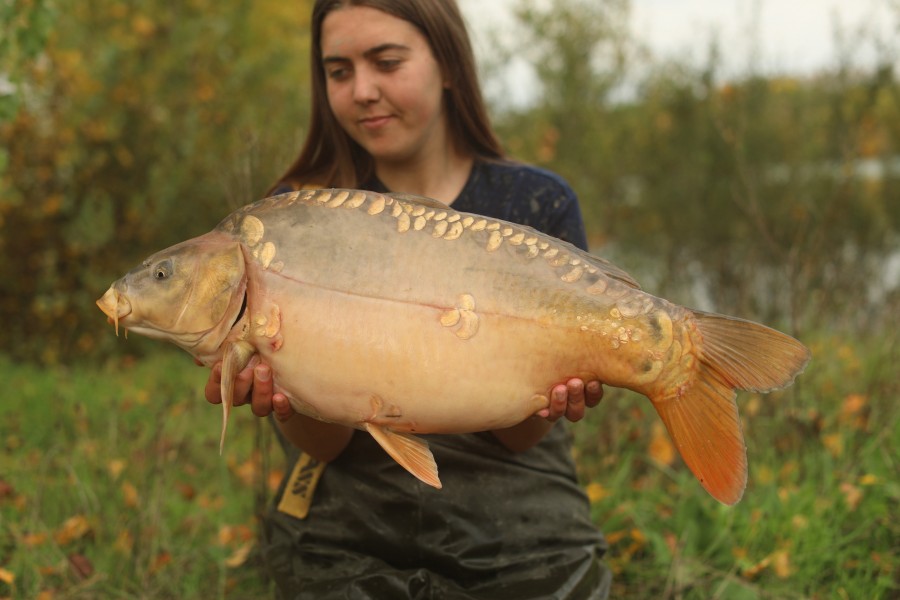 13lb