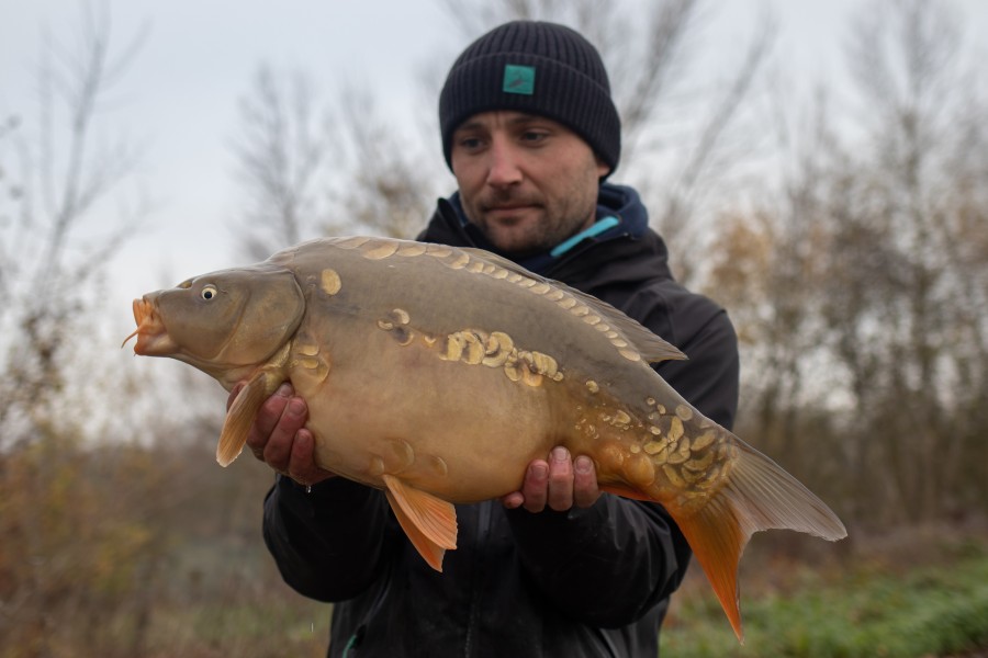 12lb
