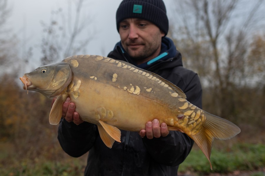12lb 8oz