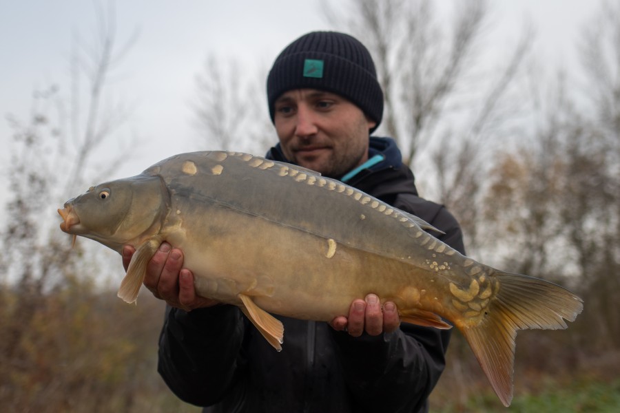 12lb 8oz