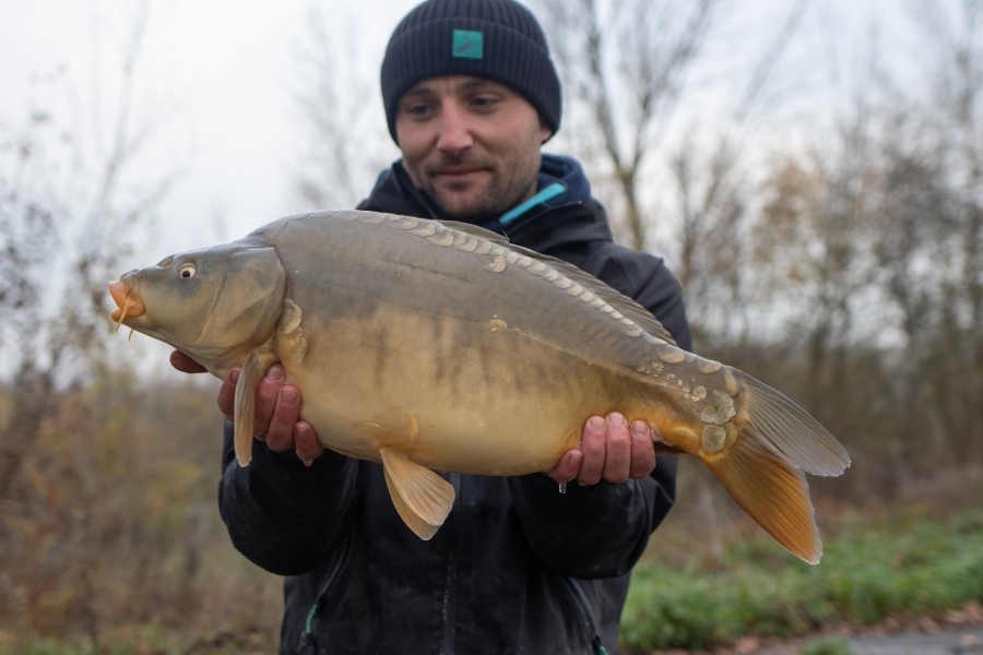 12lb