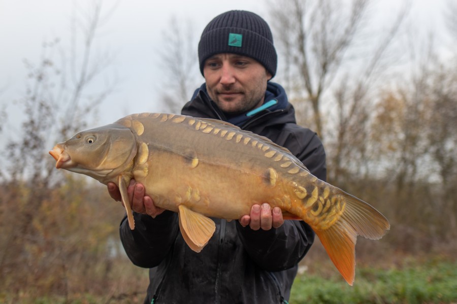 12lb