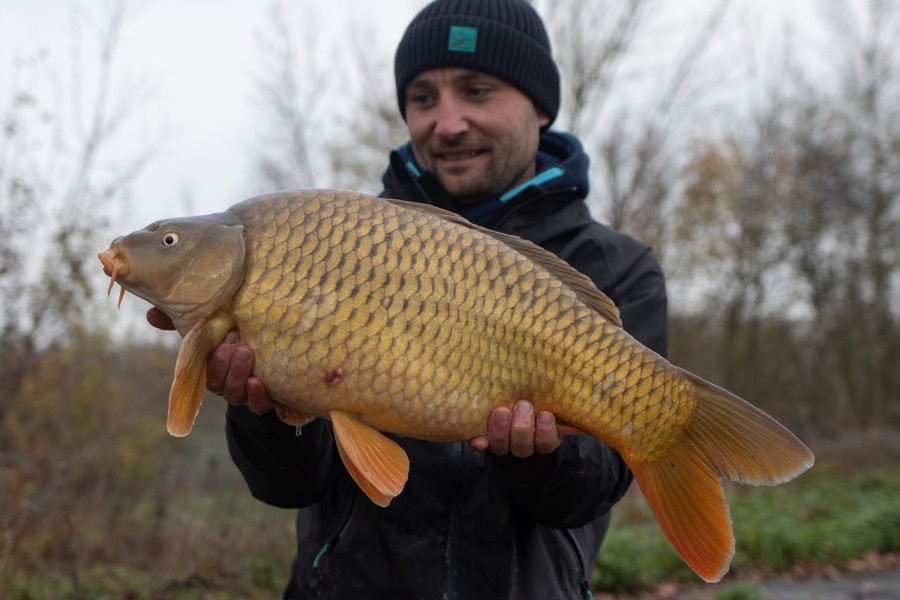 12lb