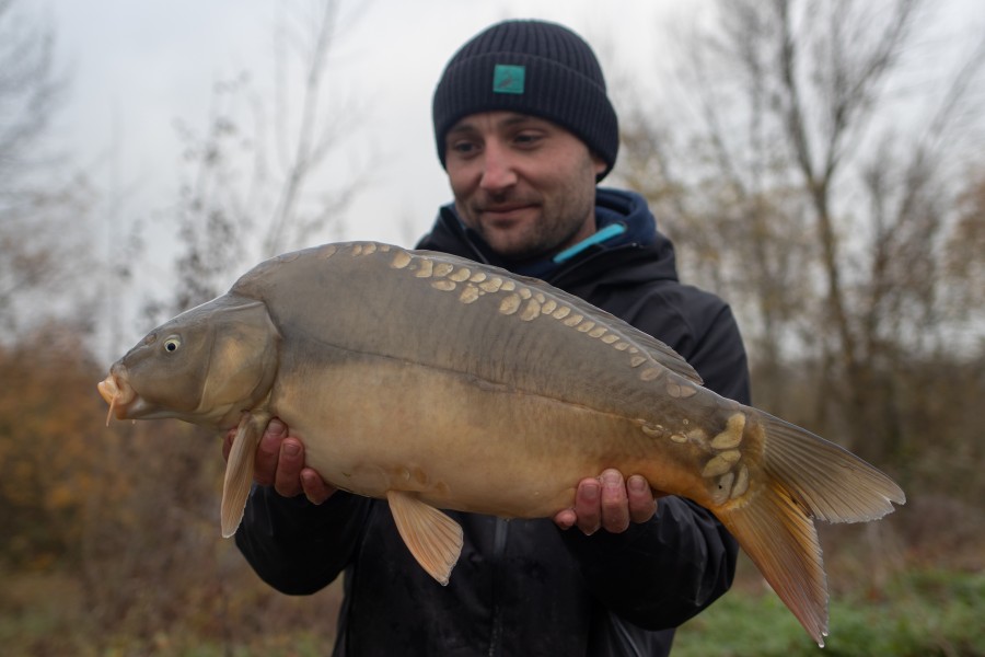 13lb