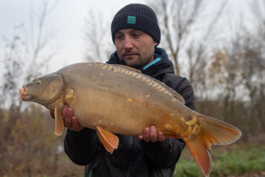 13lb