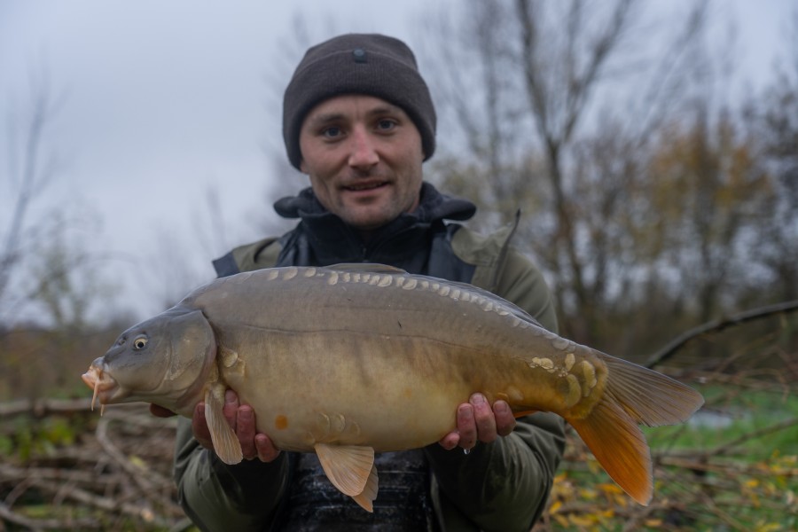 13lb