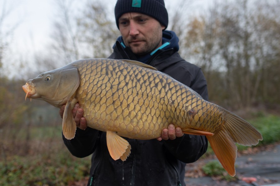 15lb 8oz