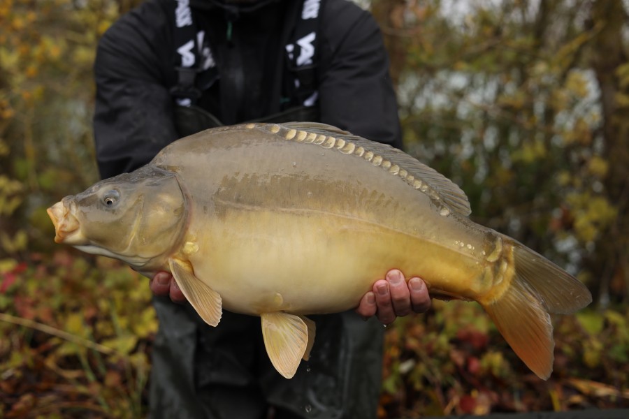 12lb 9oz