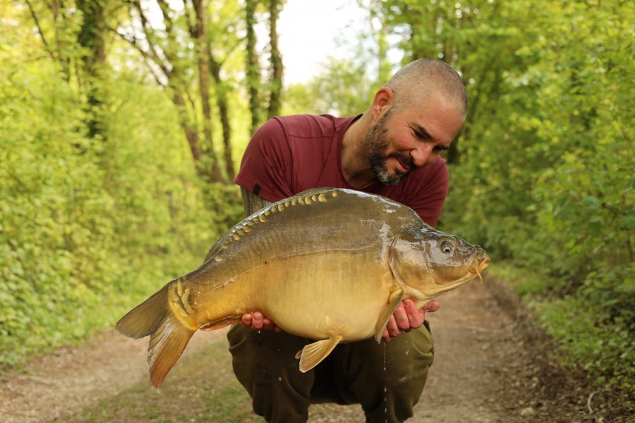 Sascha - 23lb 8oz - Scottie's Corner - 19/04/2025