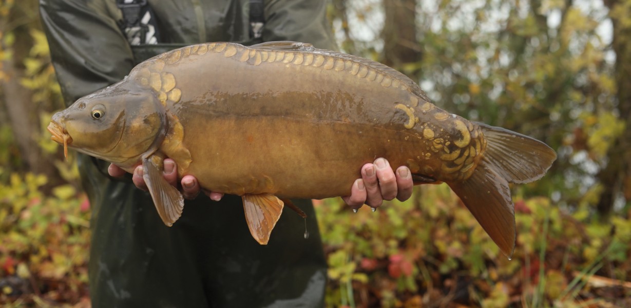 2023 11lb 4oz