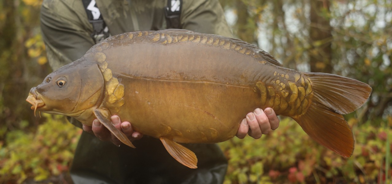 14lb 4oz