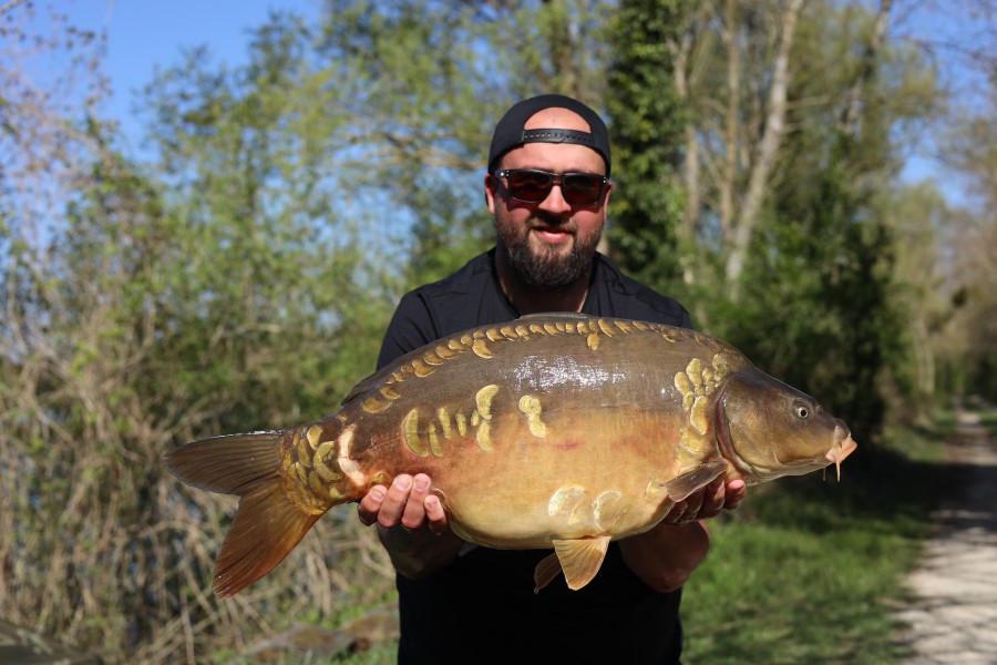 Chubb - big girls - 29lb - 05/04/2025