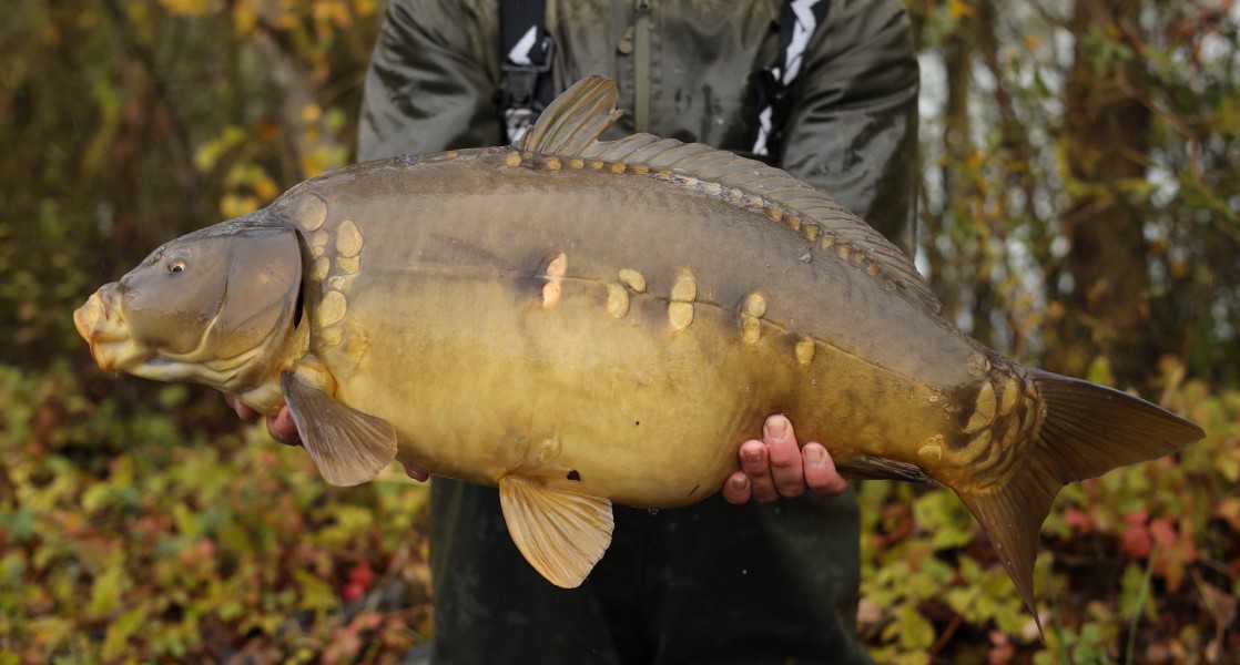 19lb 12oz