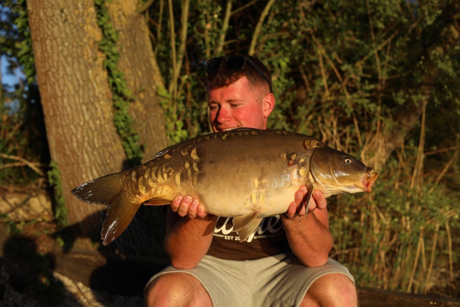 Aaron Fox - Alamo - 14lb - 25/04/2026