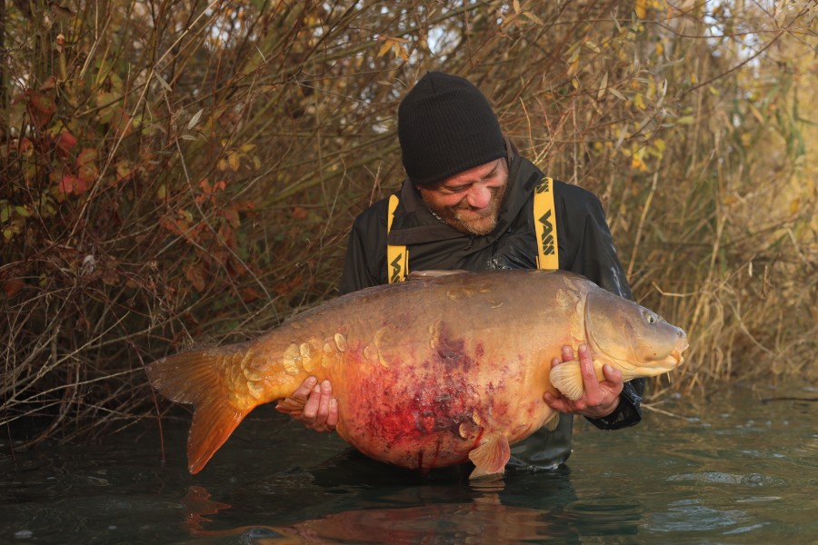 Dom Leach - 52lb 8oz - Tree Line - 30/11/2024