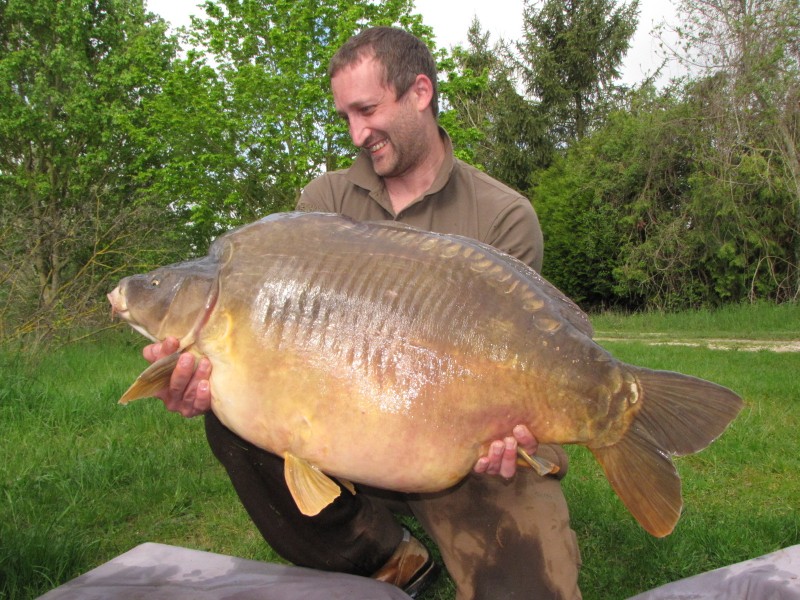 Darren doubled his PB with this capture of the Freak @ 53+
caught from Co's, its second capture from that swim, at 80m+ on Mainline Cell