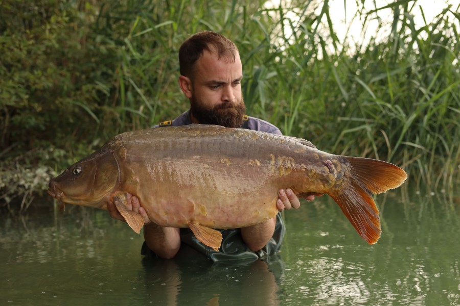 Grant Dilloway - 37lb 4oz - The Alamo - 31/08/2024