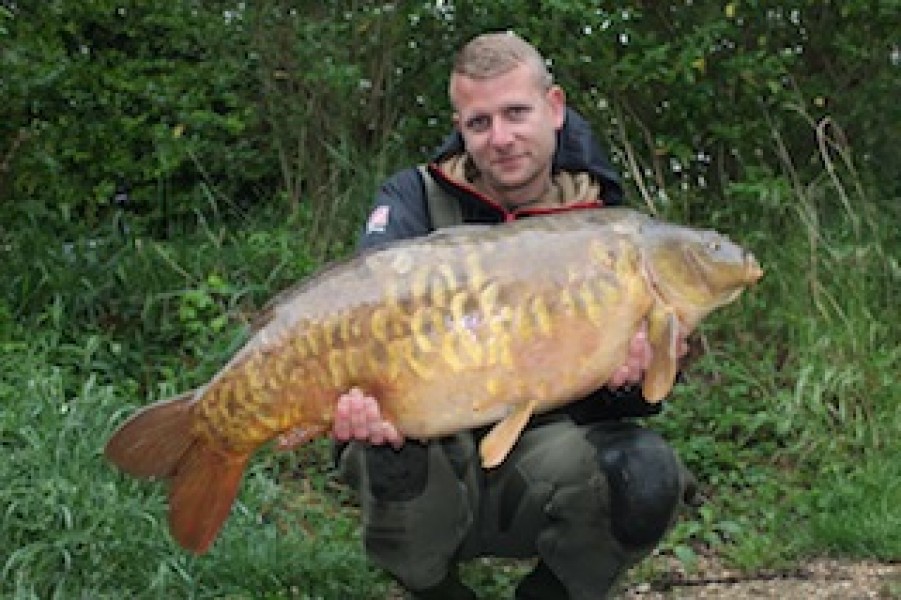 29.04lb Tree Line April 2014