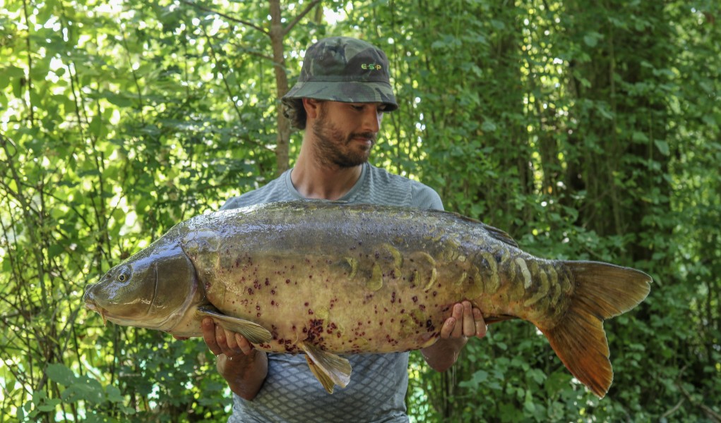 Mike Kallaras - 41lb - Scotties Corner - 02/09/23