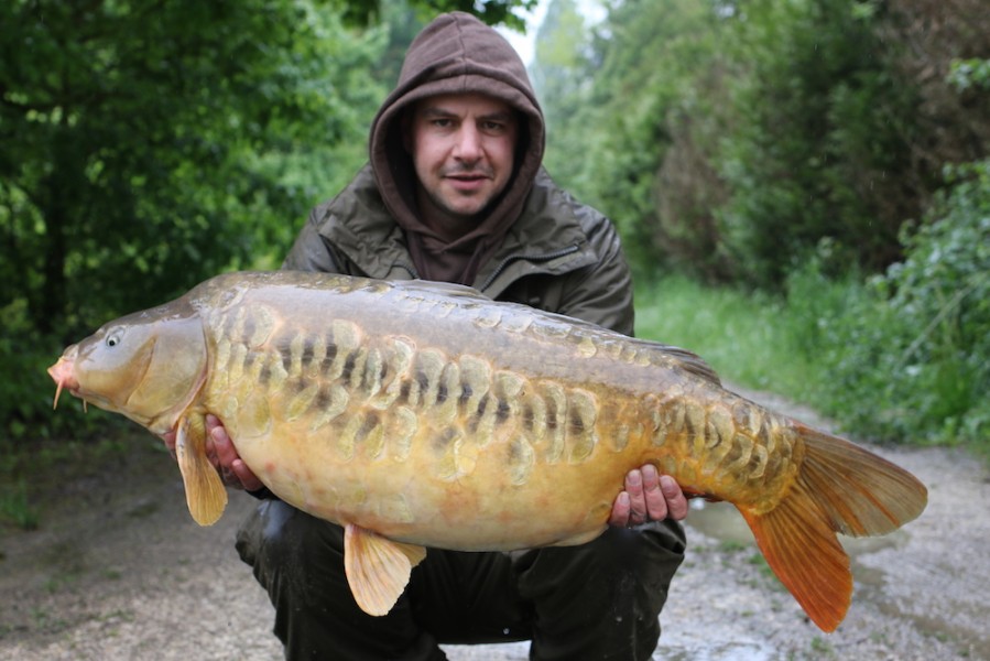 Horseshoe at 41lb from Co's Point 09.05.2017