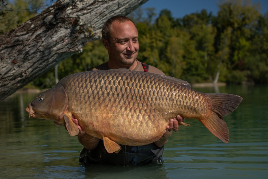 Tim Koch, 50lb 4oz, Co's Point, 17/09/2022