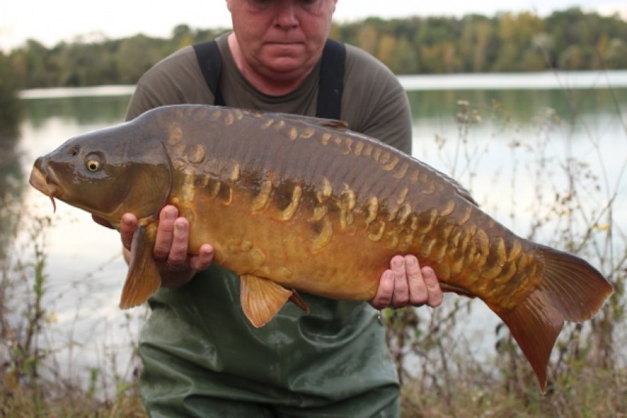 Stocked 21lb October 2014