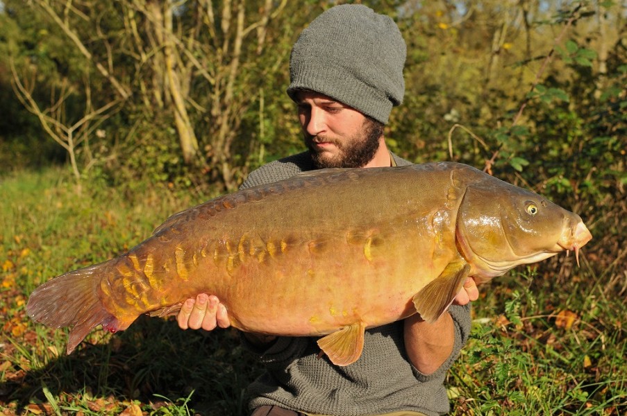 35lb 8oz November 2014