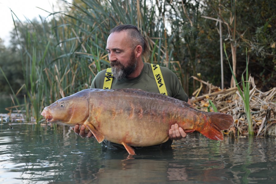 Chris Clarke - Pole Position - 40lb 1oz  - 07/10/2023