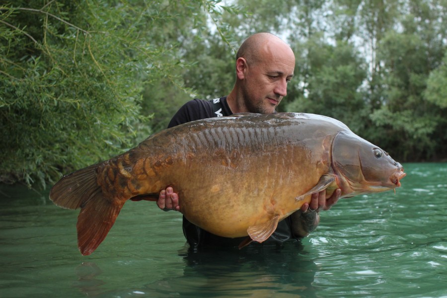 Gino (Gareth Radley) - 52lb 8oz - Big Girls - 05/08/2023