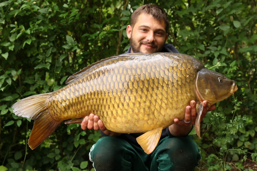 Simon Compton - Tree Line - 34lb - 29/06/2024